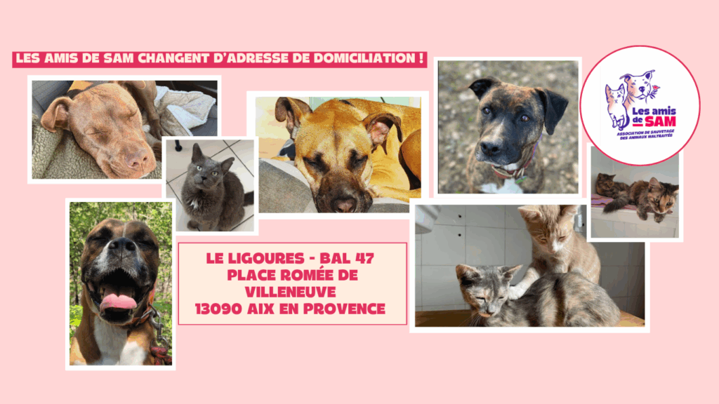 Adresse Domiciliation