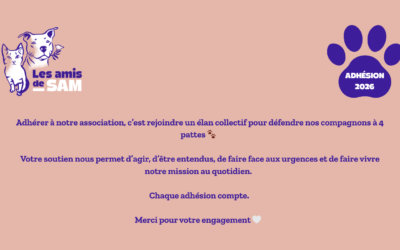 📣 Adhésions & dons 2026 : la version papier et le formulaire en ligne sont disponibles !