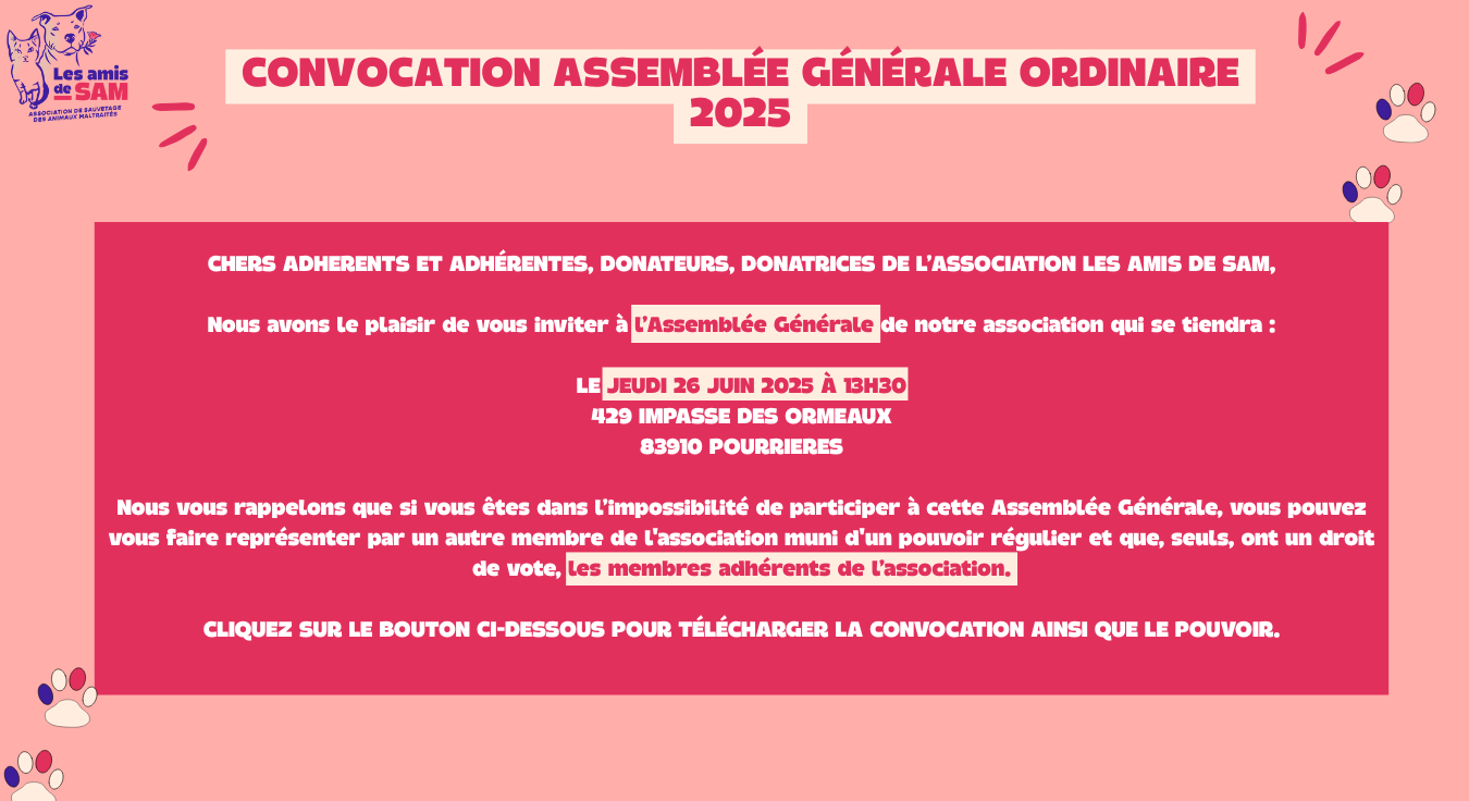 Weekend adoption 2025 - Publi insta (1350 x 736 px)
