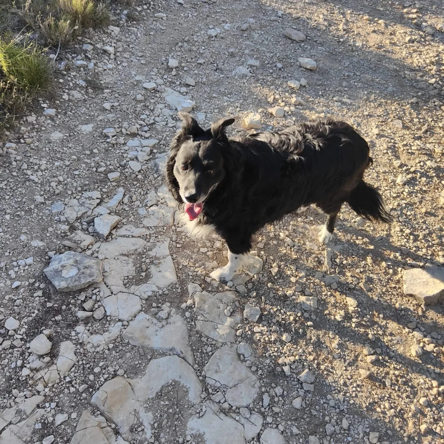 Portrait Tonka joueur - Les Amis de Sam - Aix en Provence