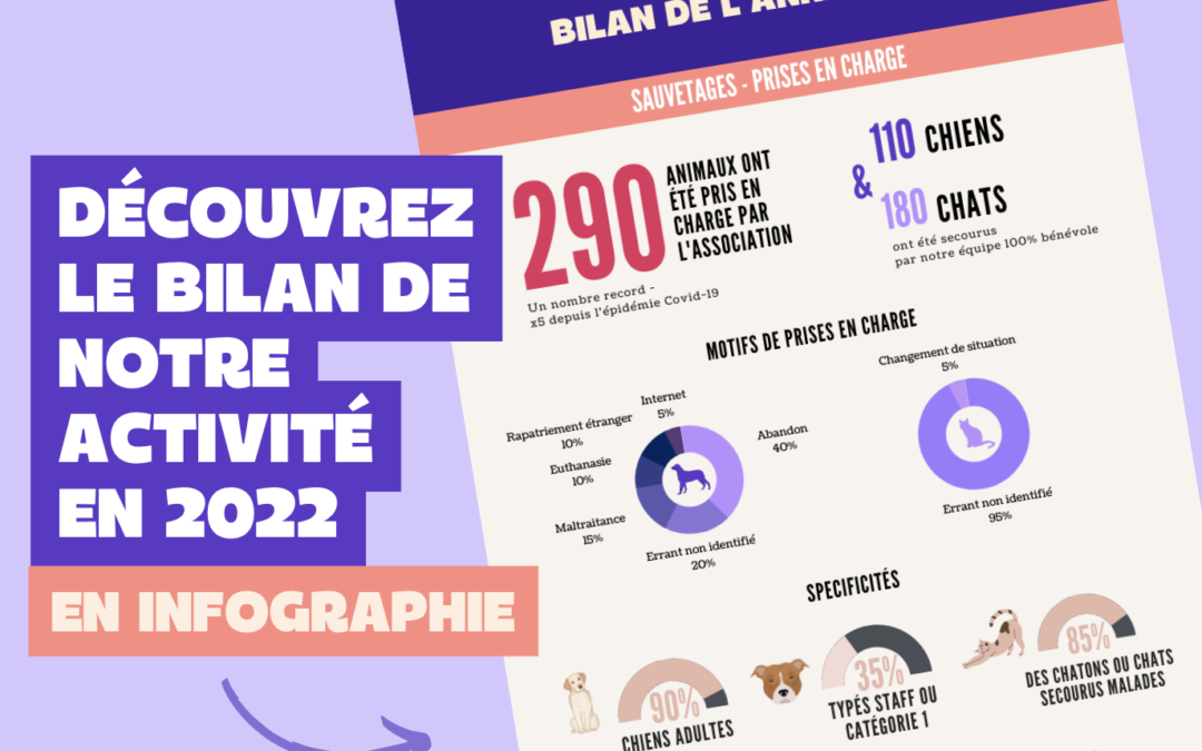 Bilan 2022