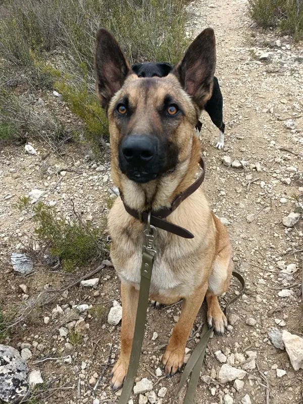 Portrait Tonka joueur - Les Amis de Sam - Aix en Provence