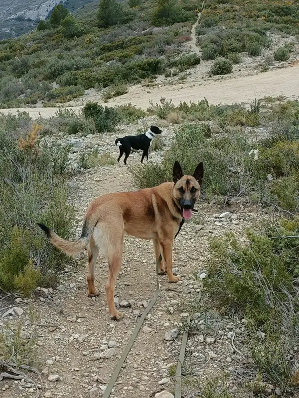 Portrait Tonka joueur - Les Amis de Sam - Aix en Provence